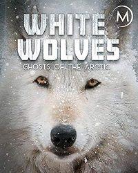 Белые волки: призраки Арктики (2017) смотреть онлайн